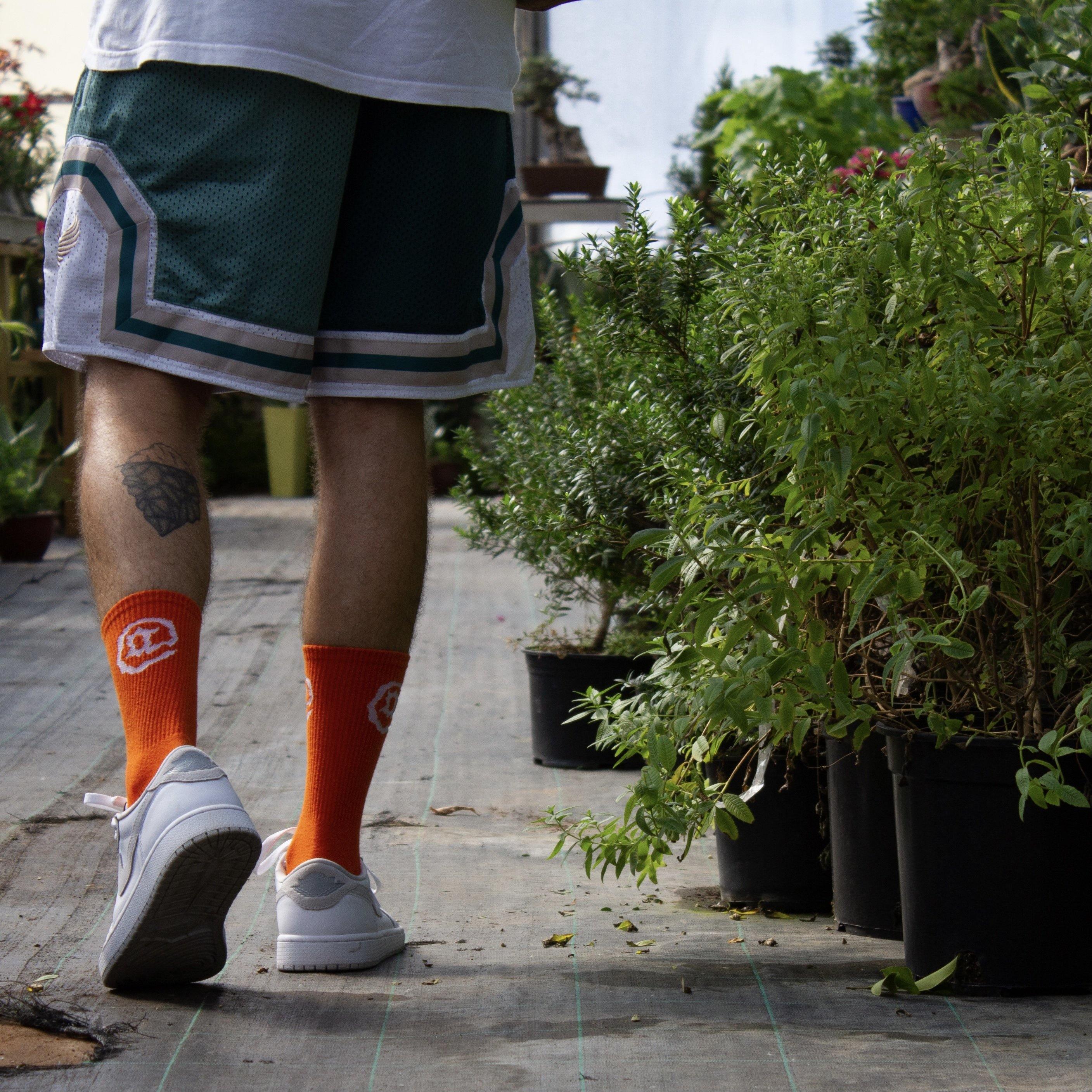 Person wearing orange carrot socks and white sneakers walking through a greenhouse with plants